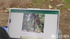 正改变为AI赋能保守种植范窗口 